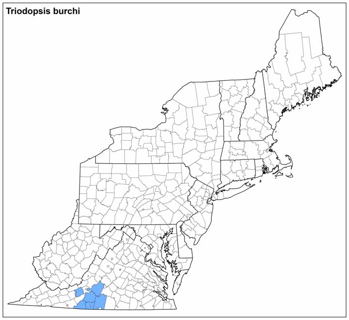 Triodopsis burchi Range Map